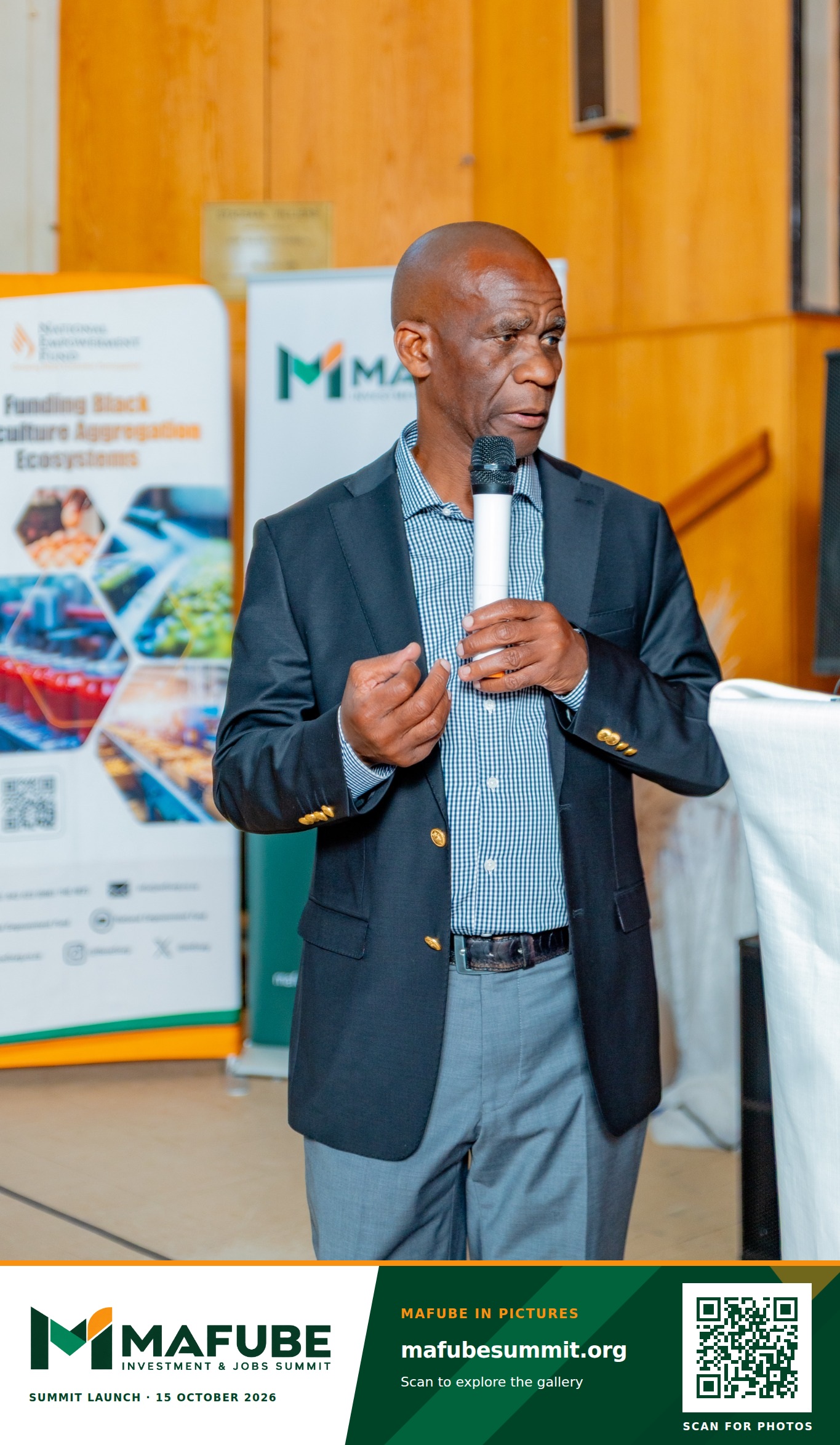 A moment from the summit launch programme, with the Mafube Investment & Jobs Summit photo footer